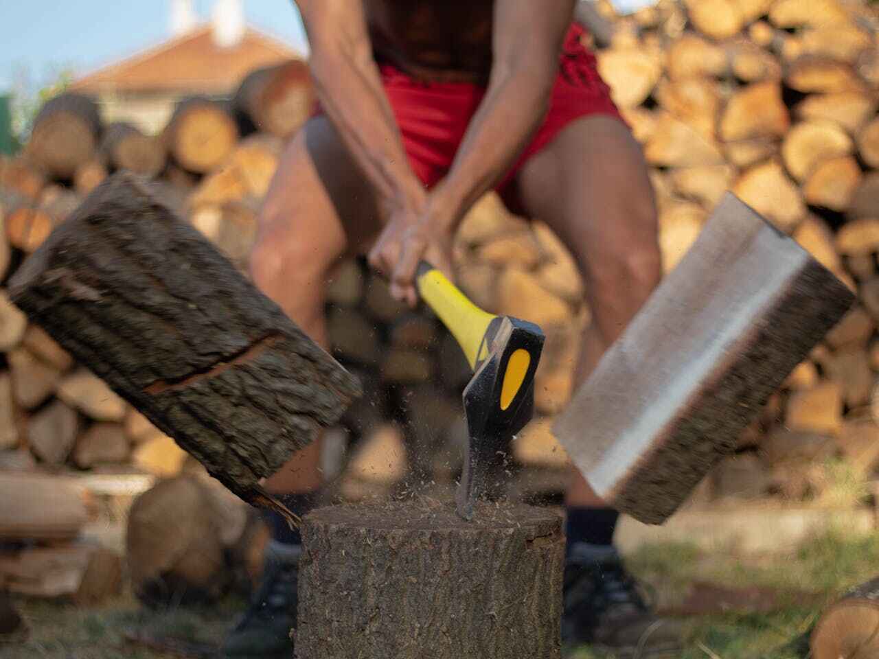 The Steps Involved in Our Tree Care Process in Pine Mountain, GA